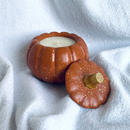 Autumn - Cascas & Folhas