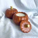 Autumn - Cascas & Folhas