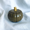 Autumn - Cascas & Folhas