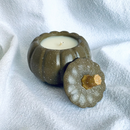 Autumn - Cascas & Folhas