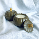 Autumn - Cascas & Folhas