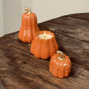 Ancestrale - Cascas & Folhas