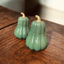 Ancestrale - Cascas & Folhas