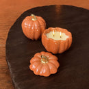 Samhain - Cascas & Folhas