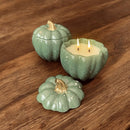 Samhain - Cascas & Folhas