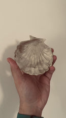 Porta objetos - Coquille